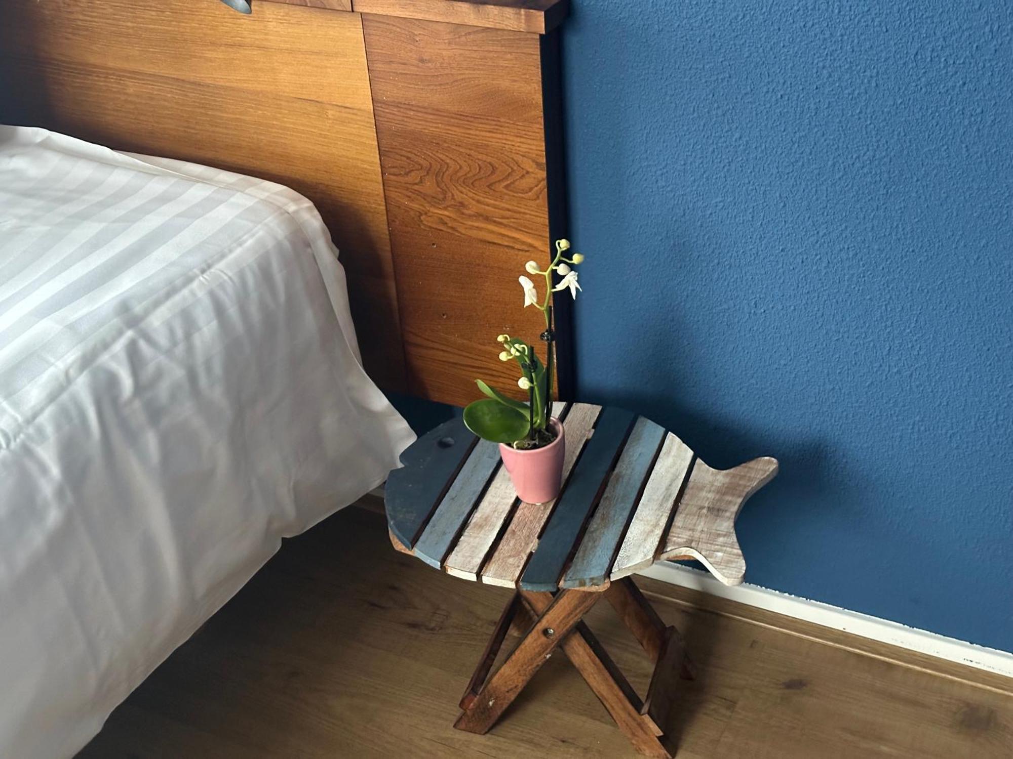 דה קוח Duinhotel Texel מראה חיצוני תמונה